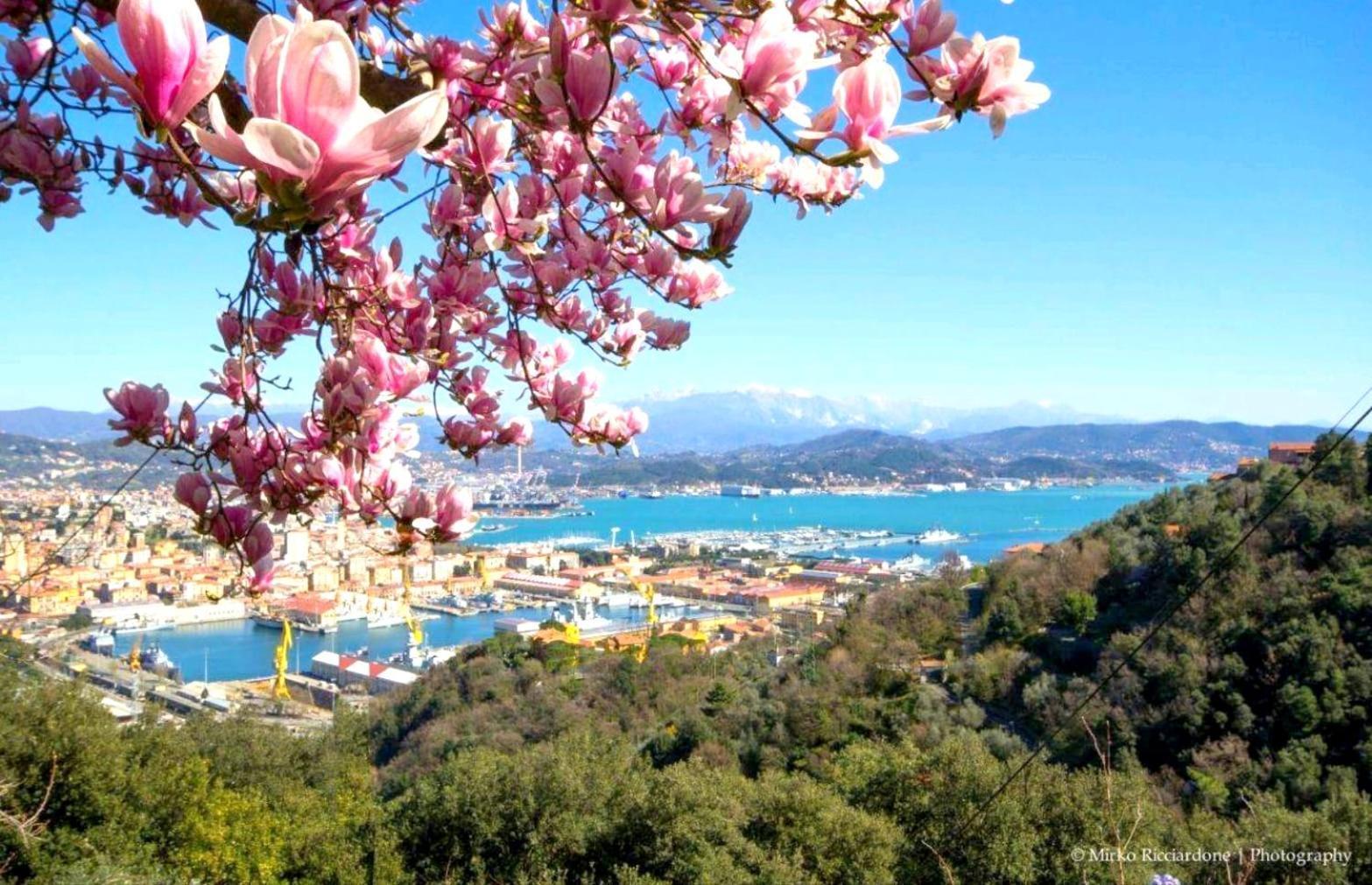 Casa Tartaruga Villa La Spezia Eksteriør billede